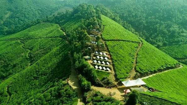 Kochi & Munnar Delight
