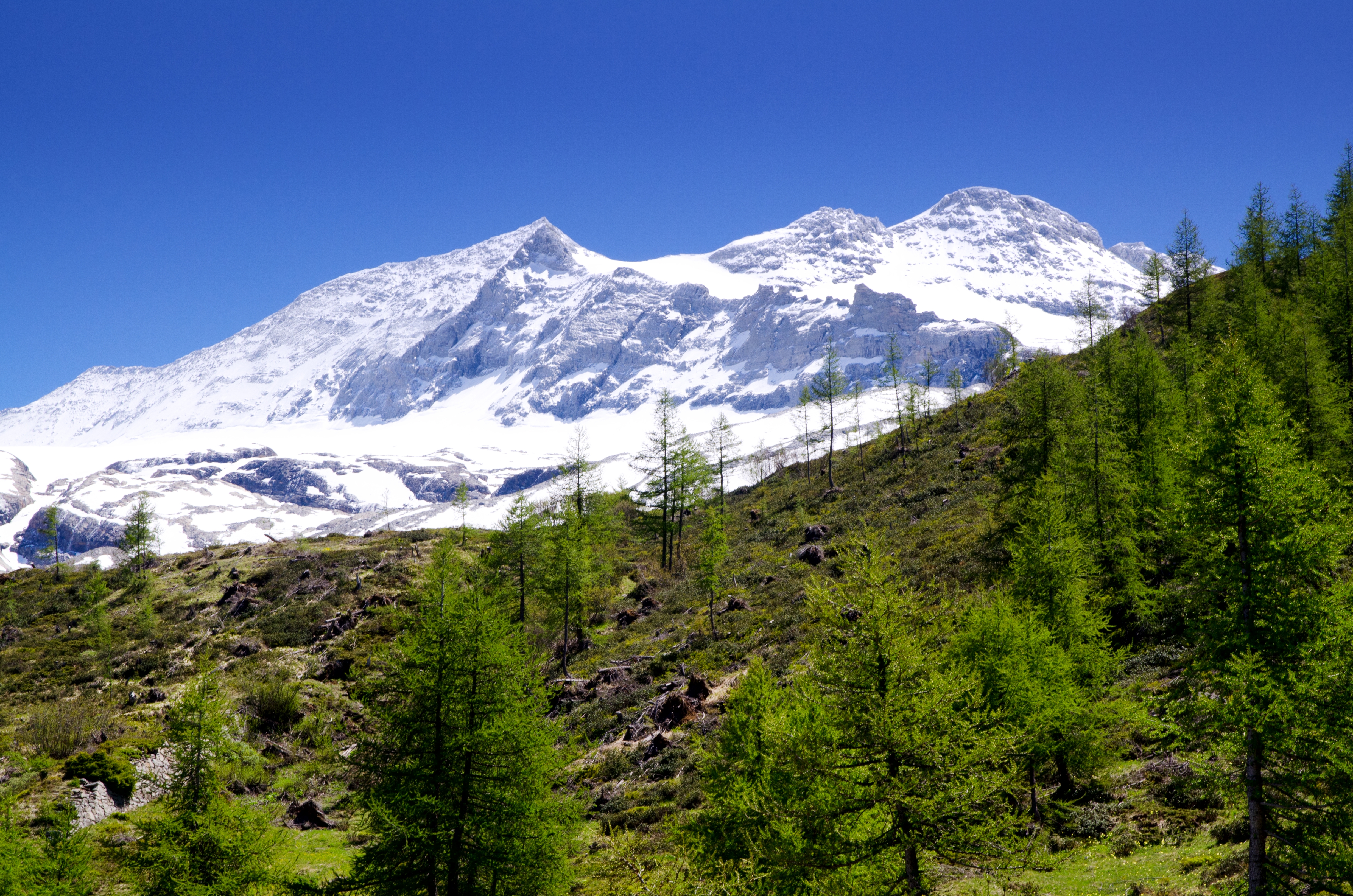 Kashmir Valley